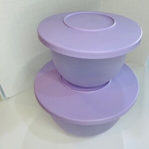 Set of 2 Tupperware Small & Medium Impressions Bowls in Lilac purple hue